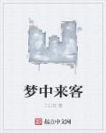 梦中来客 公子凉夜