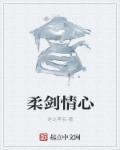 柔剑功放是哪里的品牌