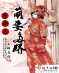 穿越之萌妃爱淘宝