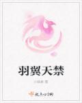 羽翼天成公司老板怎么样