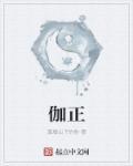 伽正叁 大理