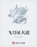 飞刀大师2