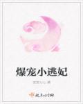 爆宠小邪妃免费阅读全文