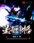 星海圣遗物及武器搭配