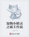 宠物小精灵之传奇
