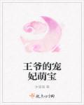 王爷的宠妃