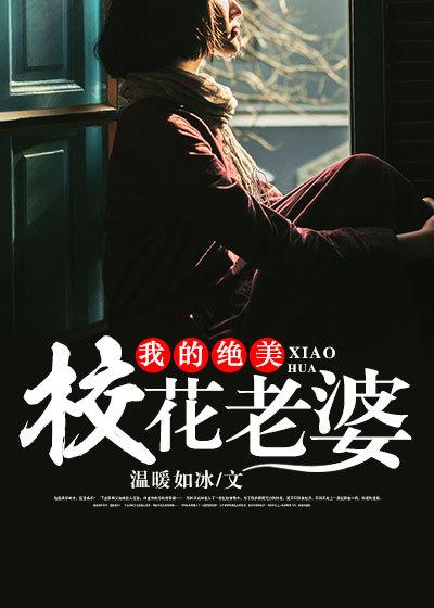 我的绝美前妻简介