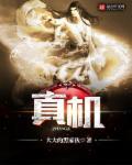 真机是什么意思?