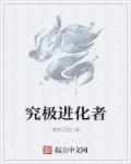 究极进化搭配