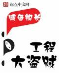盗贼学工程有什么用