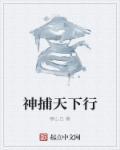 神捕电视剧武功排名
