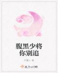 腹黑少将俏皮妻