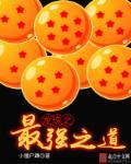 龙珠之最强之路爱看书