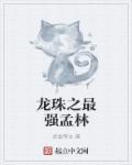 龙珠之最强宗师