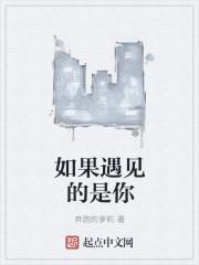如果遇见你歌词含义