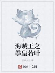 海贼王之拳打八方