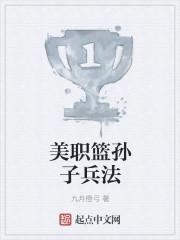 孙子兵法美国译本称为