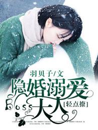隐婚boss太难缠阅读全文