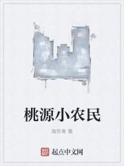 桃源小医农免费阅读