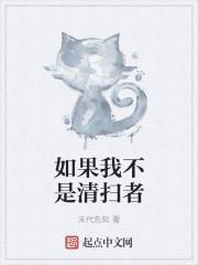 如果我不是清扫者会怎样