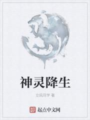 神灵降世作者龙宇
