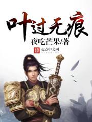 主角叶无痕
