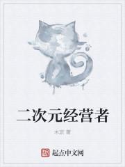二次元公司是什么行业