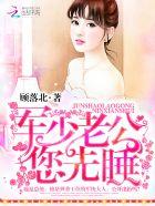夜少心尖宠