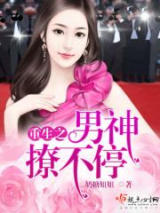 重生之男神追妻忙全文免费阅读