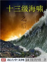 海啸级别