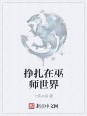 挣扎在巫师世界中