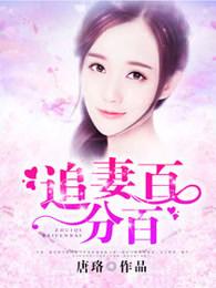 追妻的108招