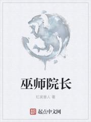 巫师教授是谁