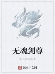 无敌剑魂最后一章