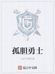 孤胆英雄完整版