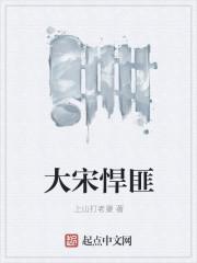 大宋悍匪笔趣阁