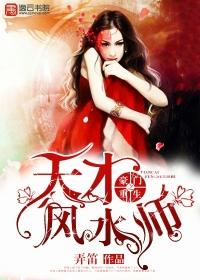 重生之豪门天才女风水师