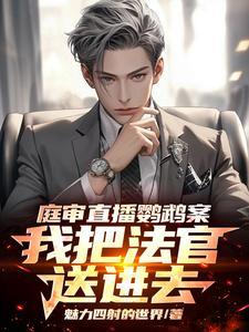 我把法官送进去了