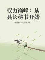 权力巅峰全本免费阅读全文1331章