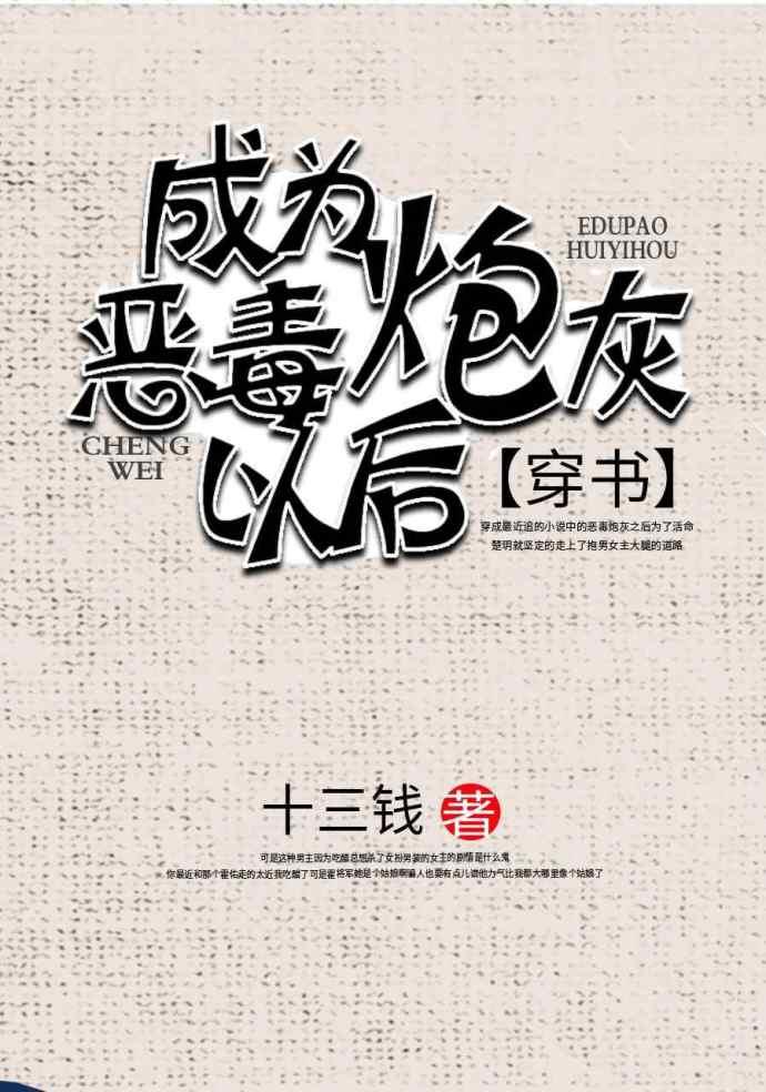 成了恶毒炮灰以后书包网
