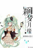 查理九世之梦歌羽翼