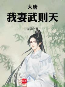 大唐我的妻子是武媚娘免费阅读