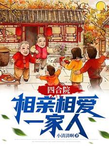 四合院剧情介绍