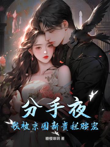 分手后我被男主的好兄弟连夜抱走