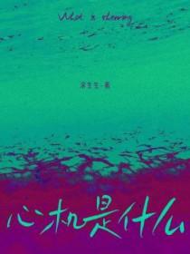 心机是什么意思