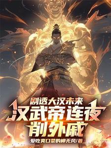 汉武帝20年