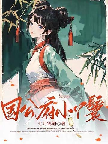 国公府小丫鬟讲的什么