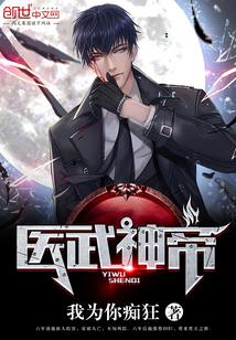 医武帝婿完结版
