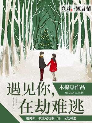 遇上你再劫难逃