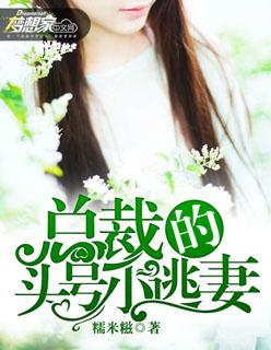 总裁的头号萌妻免费阅读
